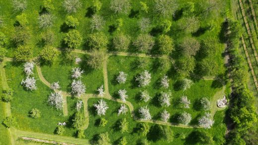 Luftbild Obsterlebnis mit Wegen