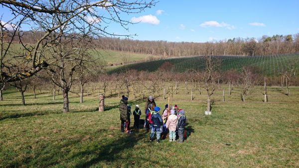 Baumpflanzung Kindergarten Eschenau